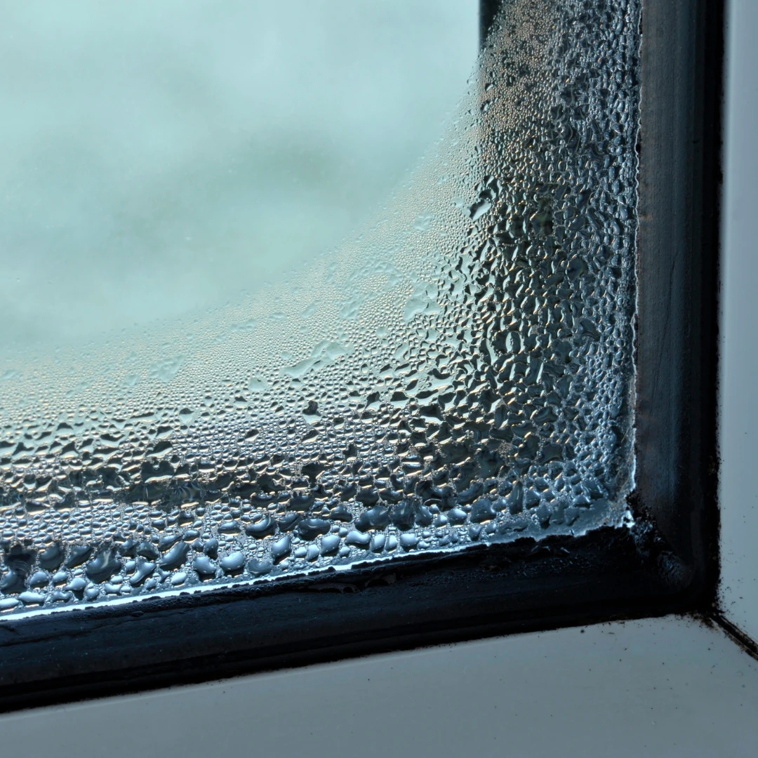 How Often Should You Replace Your Windows? 7 Signs Your Windows Need Replacing